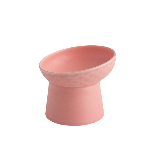 Fashion Oblique Cat Bowl Pet Bowl